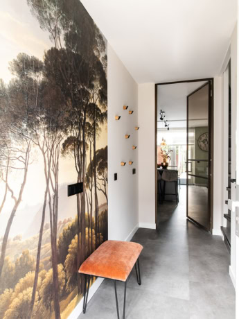 High-quality steel door with black surround and glass, modern interior door for living area.