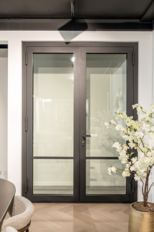 Hinged door Eva
