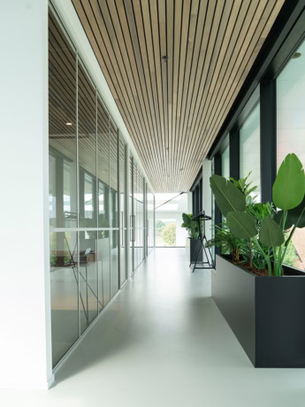 Glass steel partition with natural wood in the ceilings and lots of greenery for a modern and bright office space.